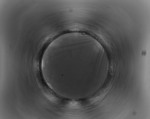 X0000100370547200807031904