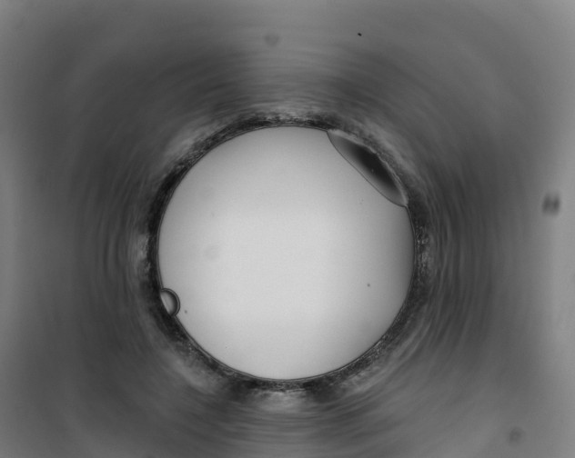 X0000100370548200807031904