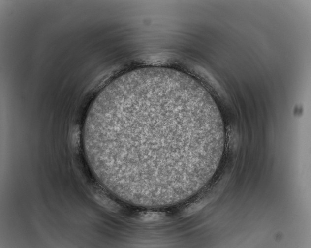 X0000100370549200807031904