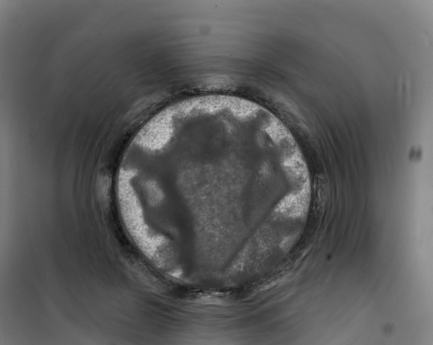 X0000100370550200807031904