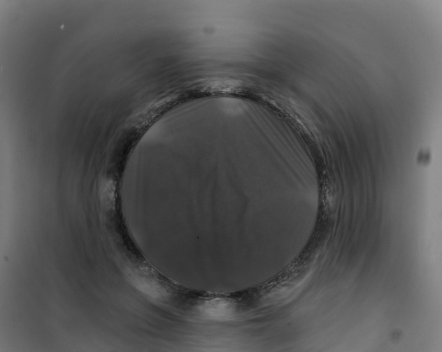 X0000100370551200807031904