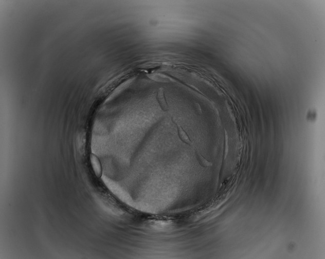 X0000100370552200807031904