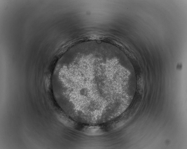 X0000100370554200807031904