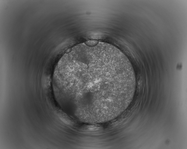 X0000100370555200807031904