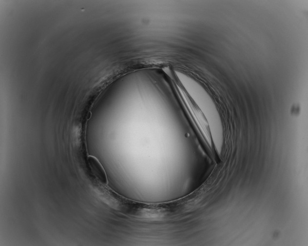 X0000100370556200807031904