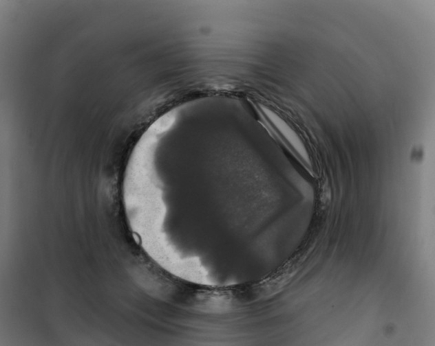 X0000100370559200807031905