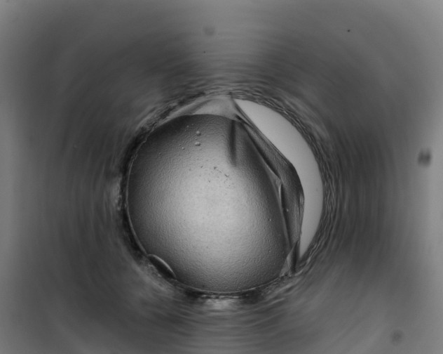 X0000100370560200807031905