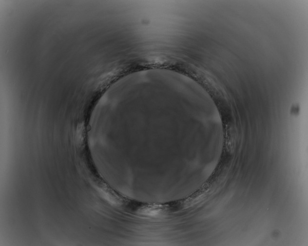 X0000100370563200807031905