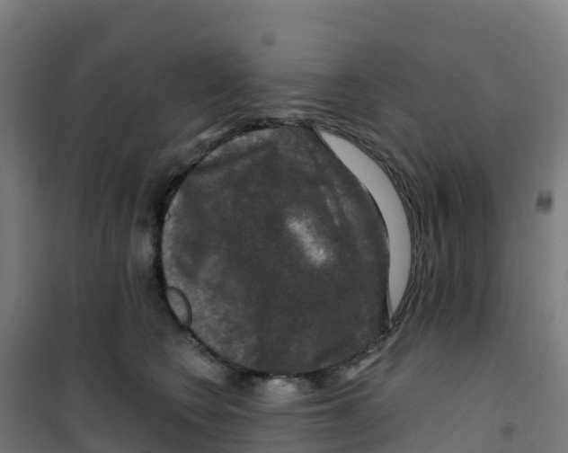 X0000100370566200807031905