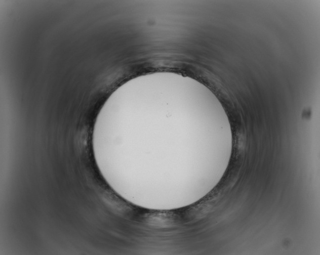 X0000100370567200807031905