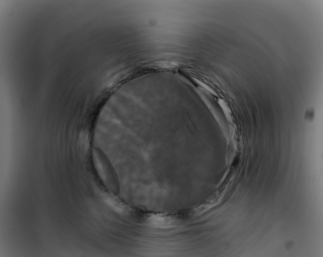 X0000100370568200807031905