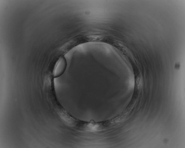 X0000100370570200807031905