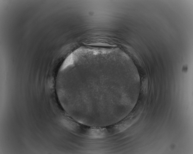 X0000100370571200807031905