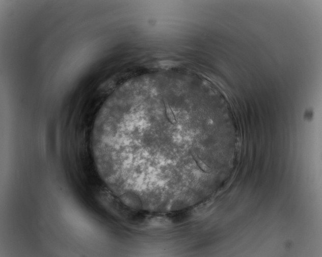 X0000100370572200807031905