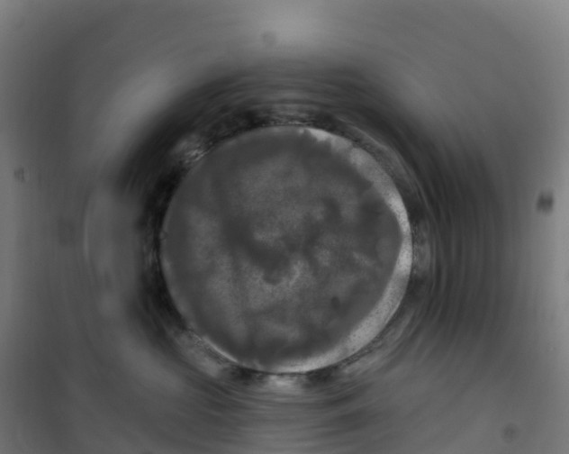 X0000100370573200807031905