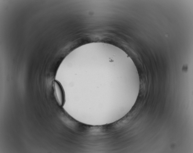 X0000100370574200807031905