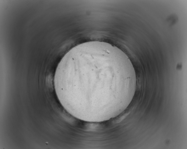 X0000100370575200807031905