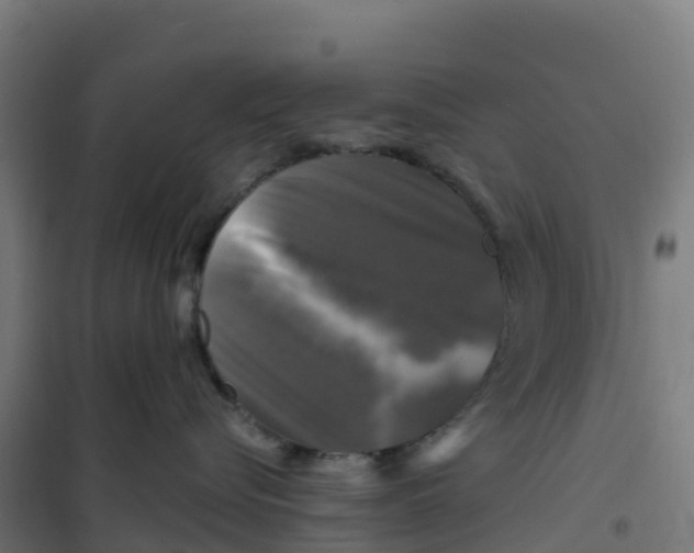 X0000100370576200807031905