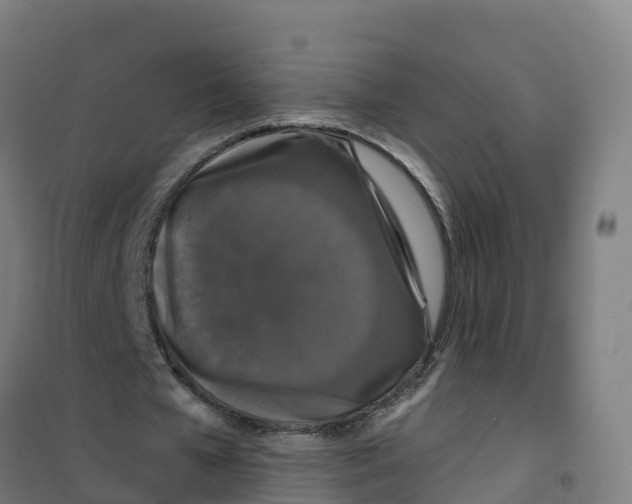 X0000100370577200807031904