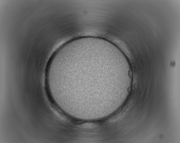 X0000100370578200807031904