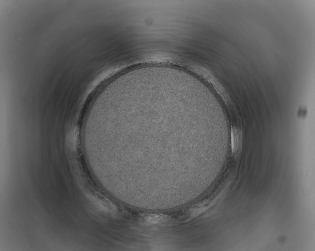 X0000100370579200807031904