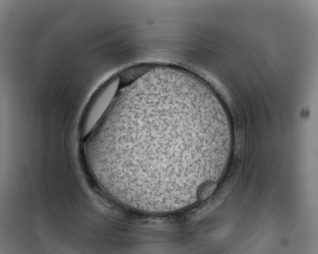 X0000100370580200807031904