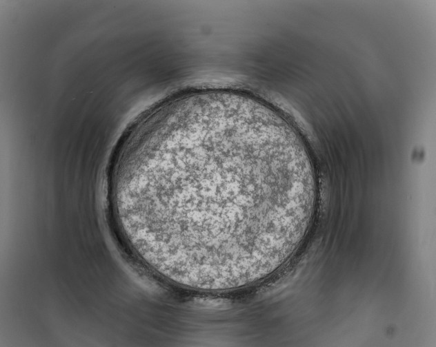 X0000100370582200807031904