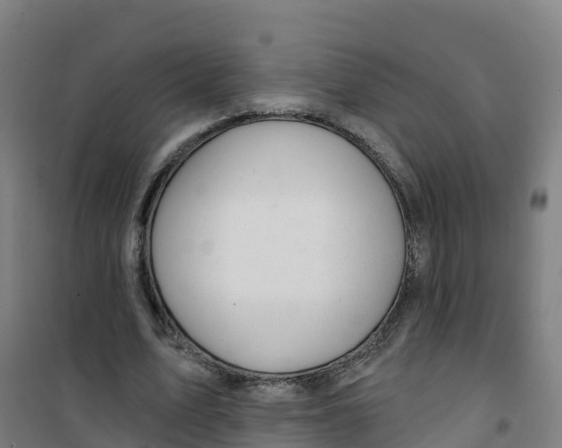 X0000100370583200807031904