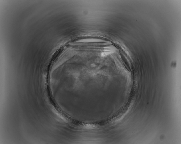 X0000100370585200807031904