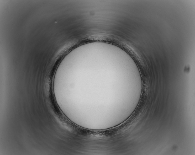 X0000100370586200807031904