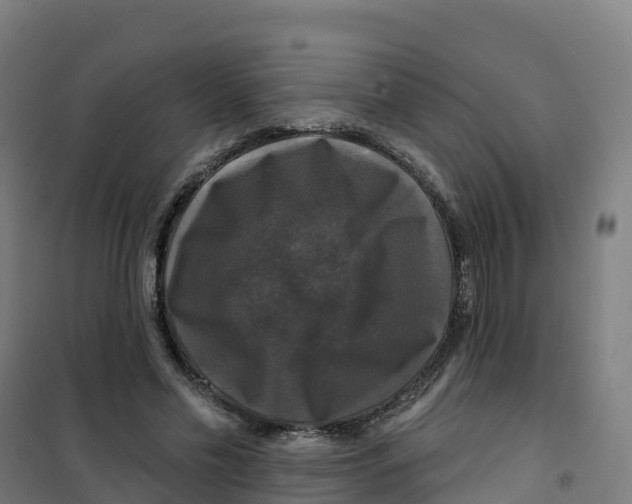 X0000100370589200807031904