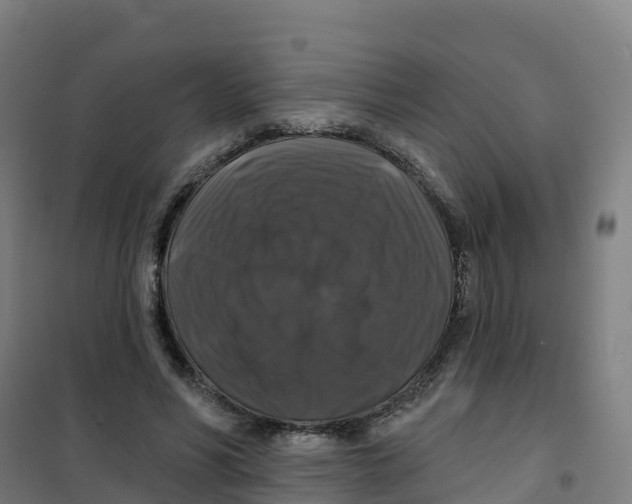 X0000100370590200807031904