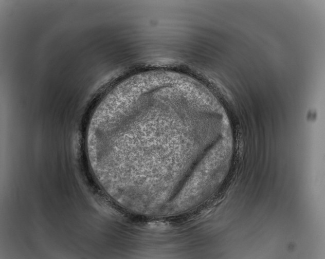 X0000100370591200807031904