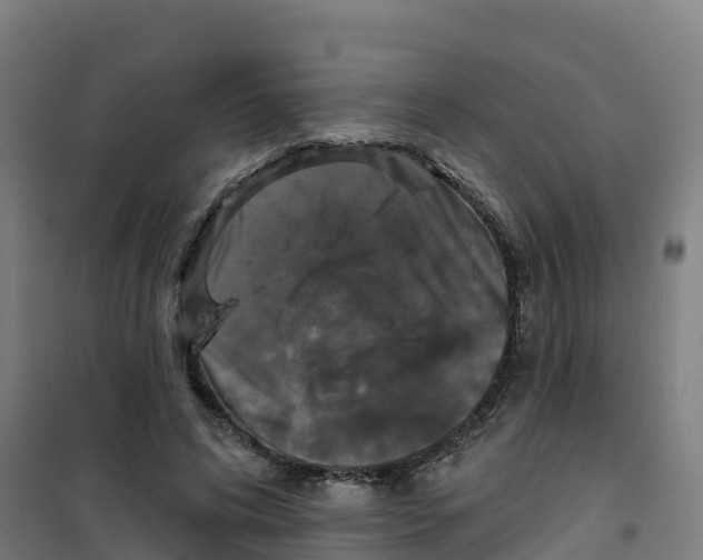 X0000100370592200807031904