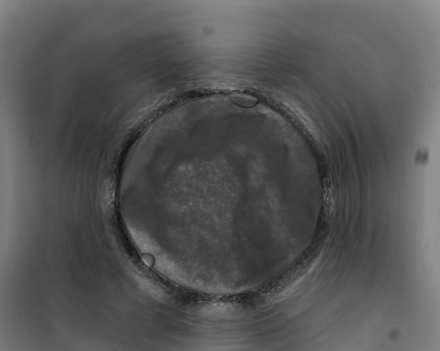 X0000100370593200807031904