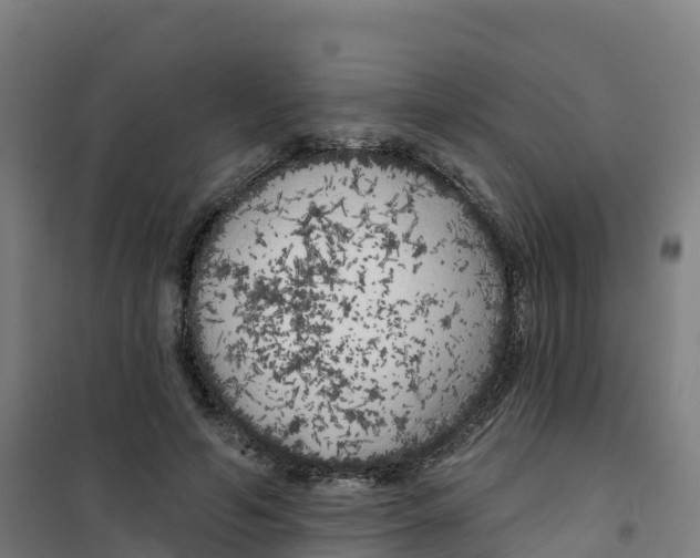 X0000100370594200807031904