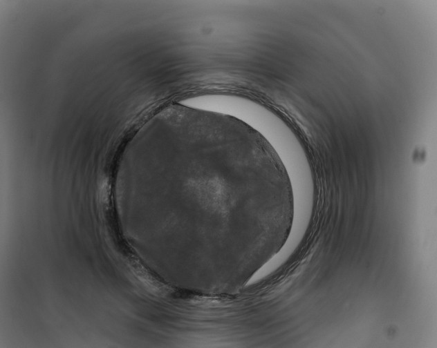 X0000100370597200807031904