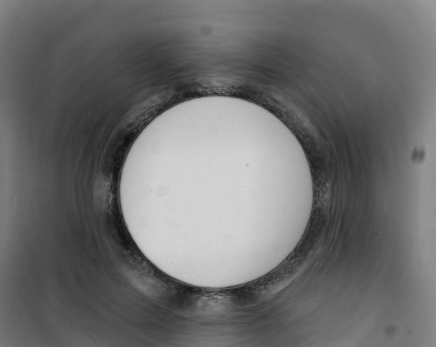 X0000100370599200807031904