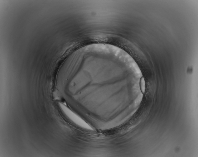 X0000100370600200807031904