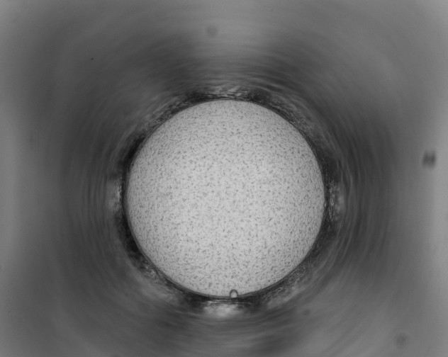 X0000100370602200807031904