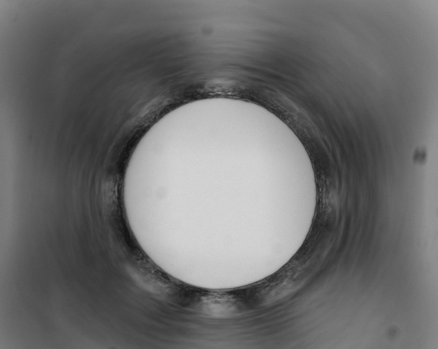 X0000100370603200807031904