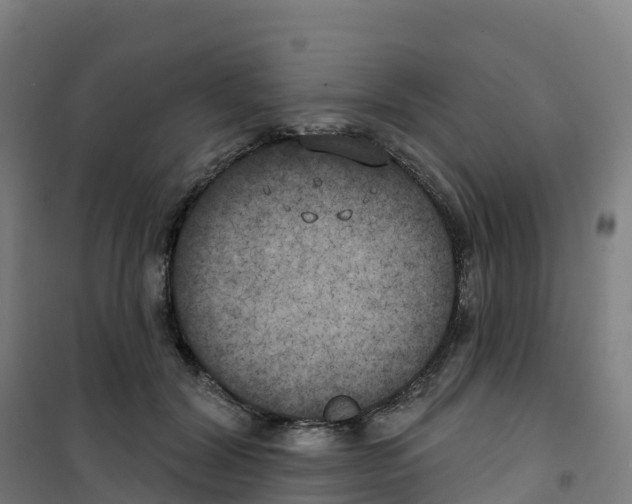 X0000100370604200807031904