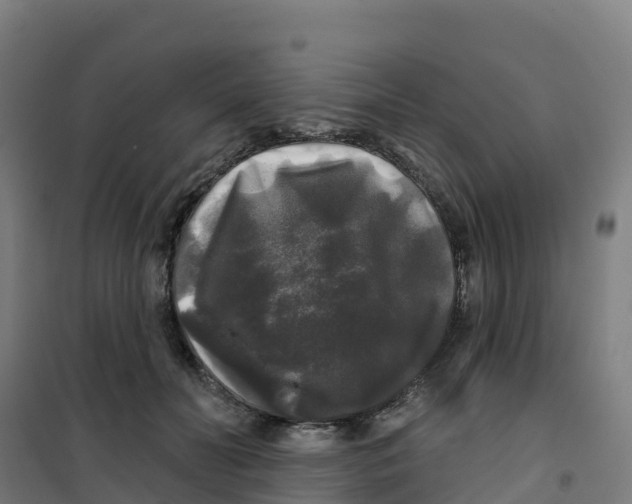 X0000100370606200807031904