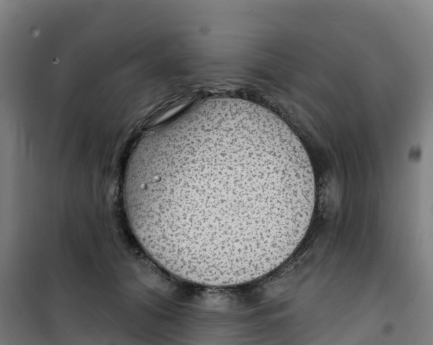 X0000100370608200807031904