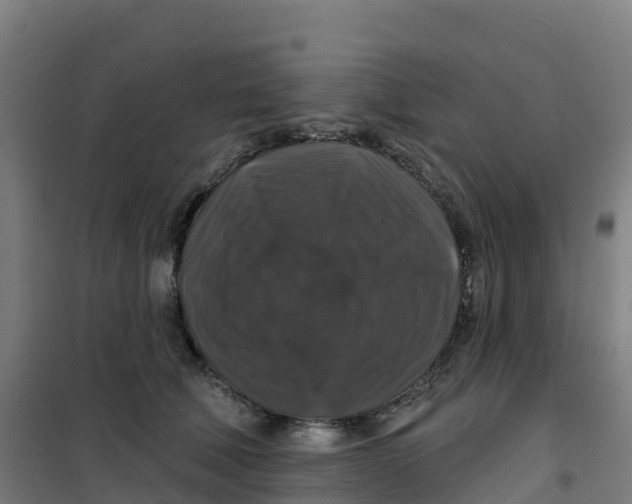 X0000100370610200807031904