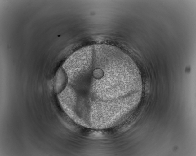 X0000100370611200807031904