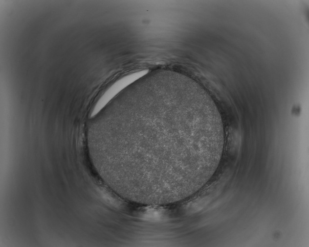 X0000100370612200807031904