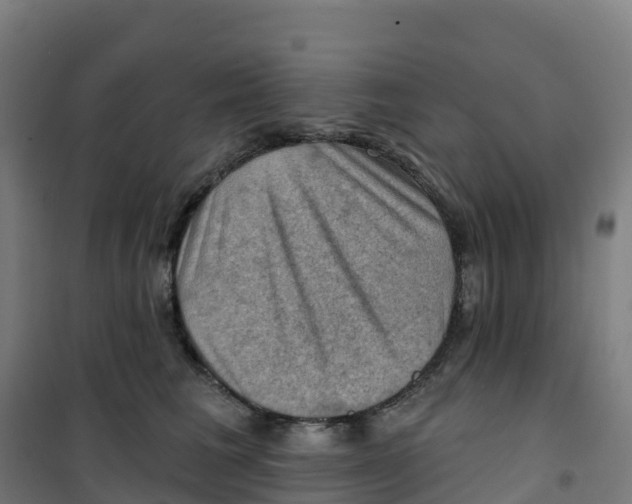 X0000100370613200807031904