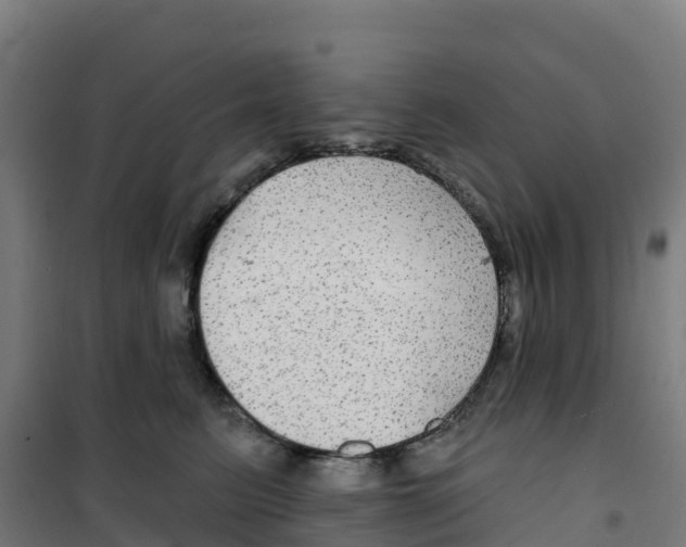 X0000100370615200807031904