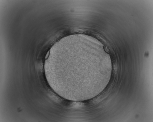 X0000100370617200807031904